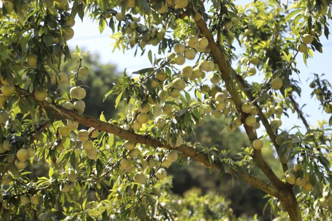 4397eb94bb53ca681ca0ce81abd7b422.jpg 4397eb94bb53ca681ca0ce81abd7b422.jpg