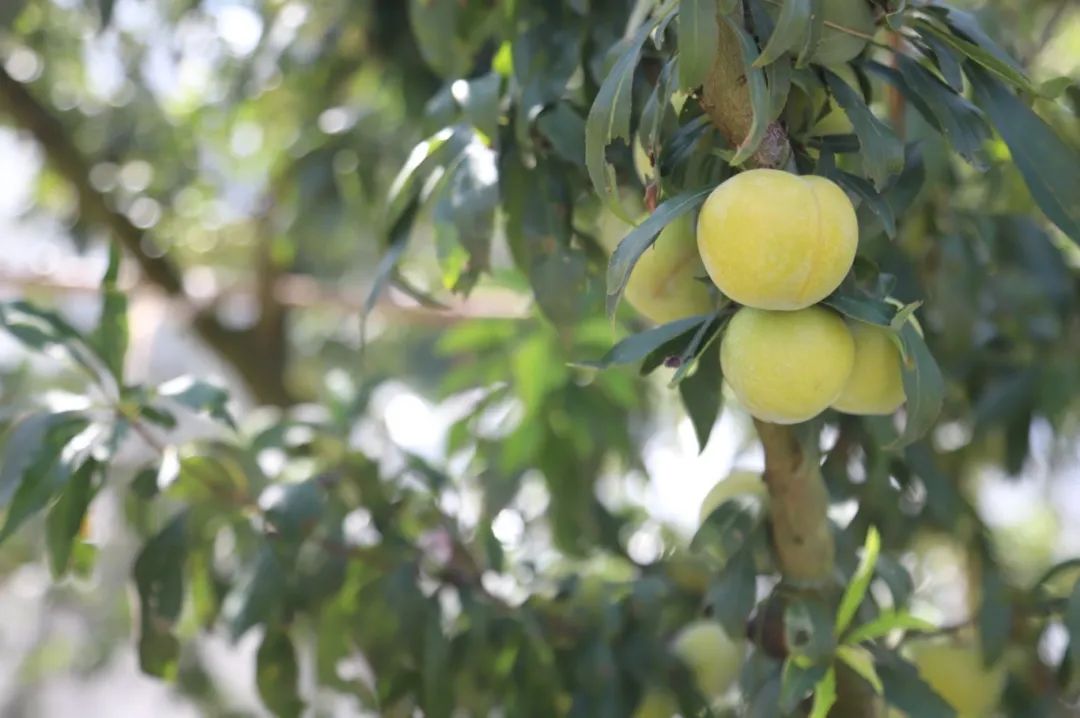 9812f240884a9fefea303fdd4abe3be1.jpg 9812f240884a9fefea303fdd4abe3be1.jpg