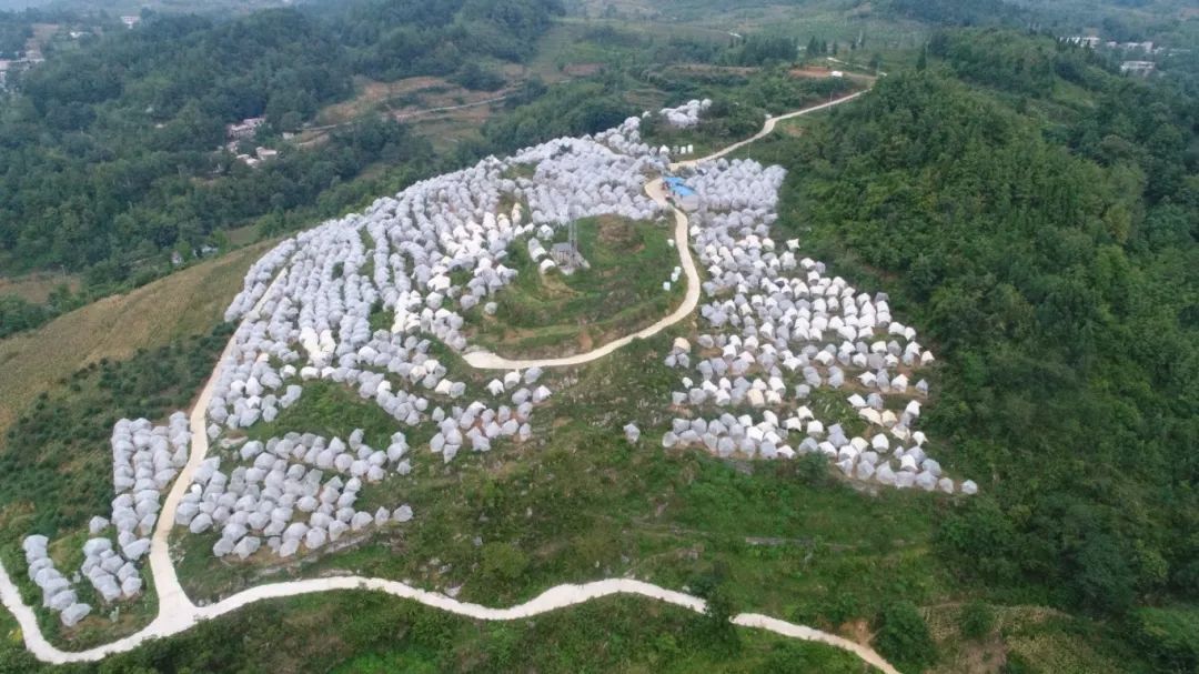 629f4abff892d60cd54ef547e5bf2ab5.jpg 629f4abff892d60cd54ef547e5bf2ab5.jpg