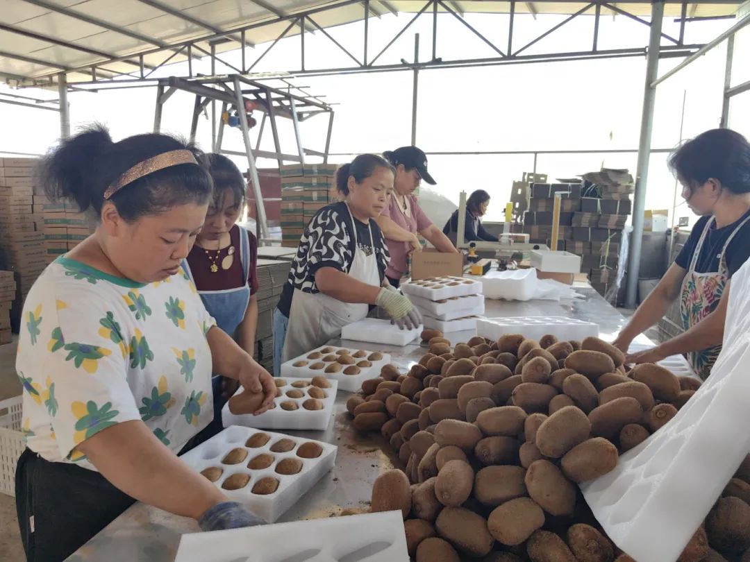 d6f88ce0b26d0a117fcae6f32cc8482e.jpg d6f88ce0b26d0a117fcae6f32cc8482e.jpg