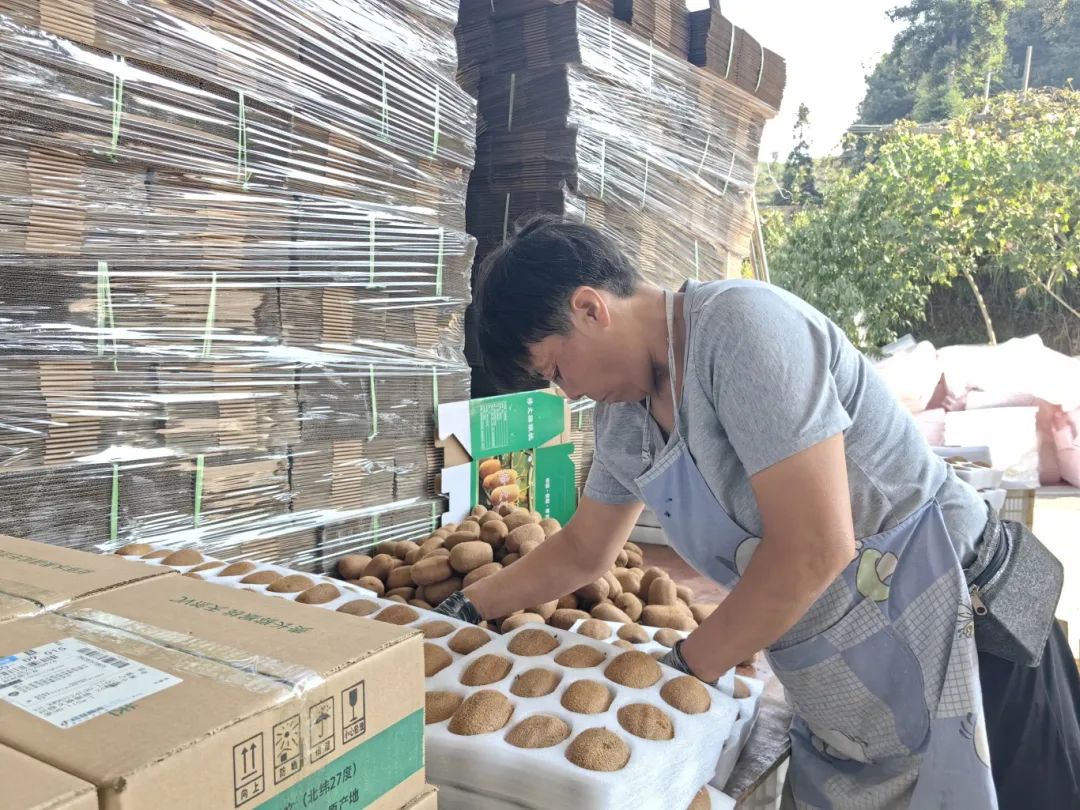 d9e68e828999e139fca6e0d61a4f5243.jpg d9e68e828999e139fca6e0d61a4f5243.jpg