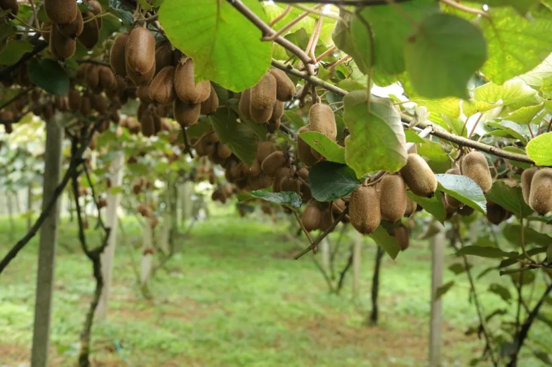 62a955208fee3fa4d951f8e4e2dcf007.jpg 62a955208fee3fa4d951f8e4e2dcf007.jpg