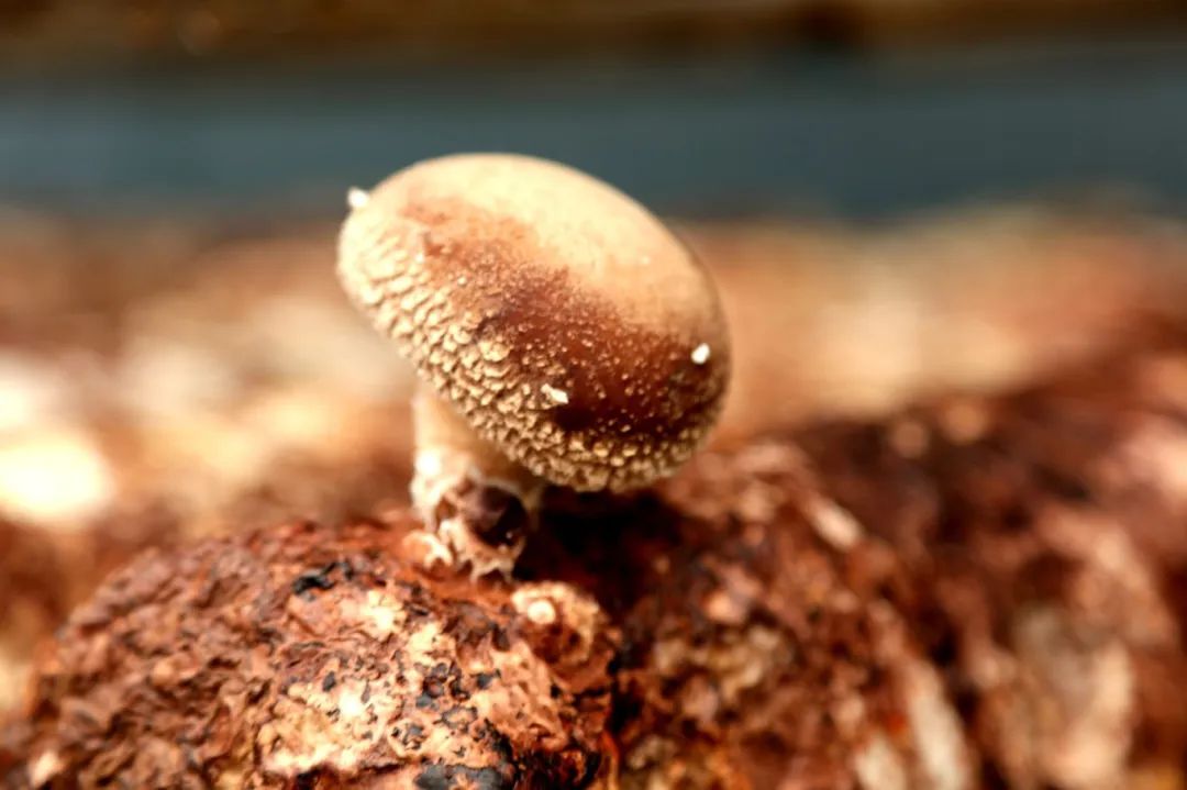 656f03abf963f41dc653f93df499885d.jpg 656f03abf963f41dc653f93df499885d.jpg