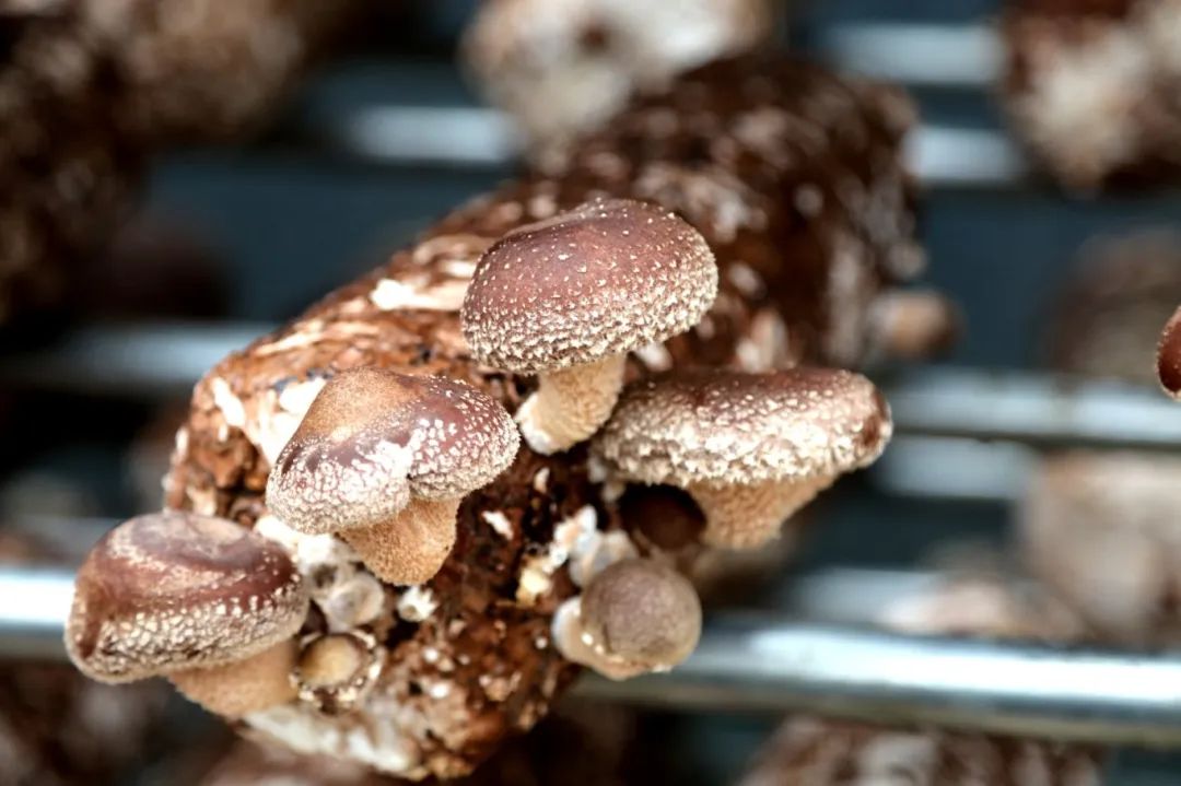 a9652027c6df1358da675c5046b05be8.jpg a9652027c6df1358da675c5046b05be8.jpg