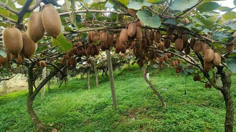 883ca97224e602de0939b2d7430db257.jpg 883ca97224e602de0939b2d7430db257.jpg