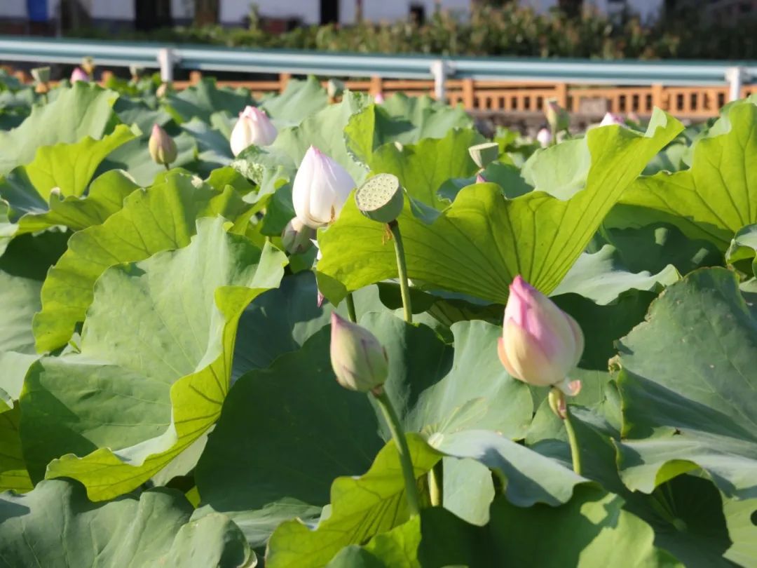 33366fa7dfc831cfb27ca052a33586da.jpg 33366fa7dfc831cfb27ca052a33586da.jpg