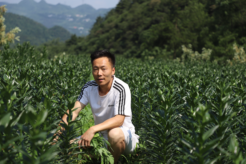 b3ceaa8d7c317f7dcb4fc57d3d8e16e5.png b3ceaa8d7c317f7dcb4fc57d3d8e16e5.png