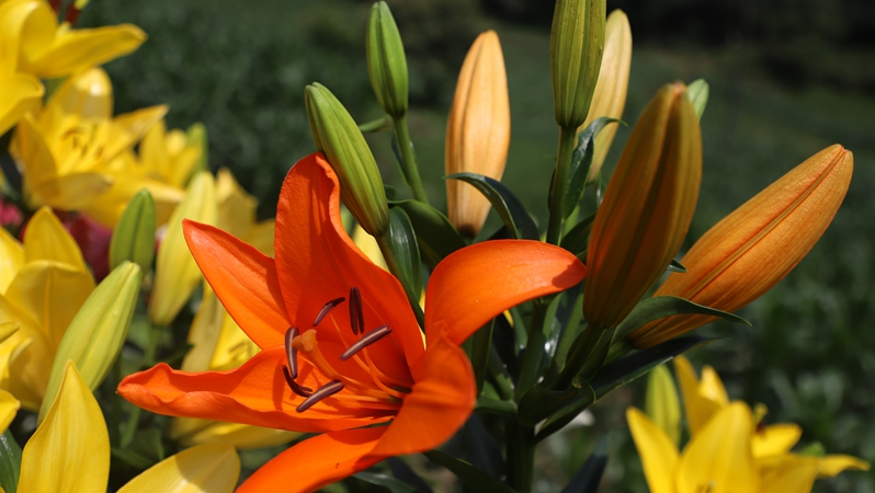 11605ad47b7c567f23df814ea318e342.png 11605ad47b7c567f23df814ea318e342.png