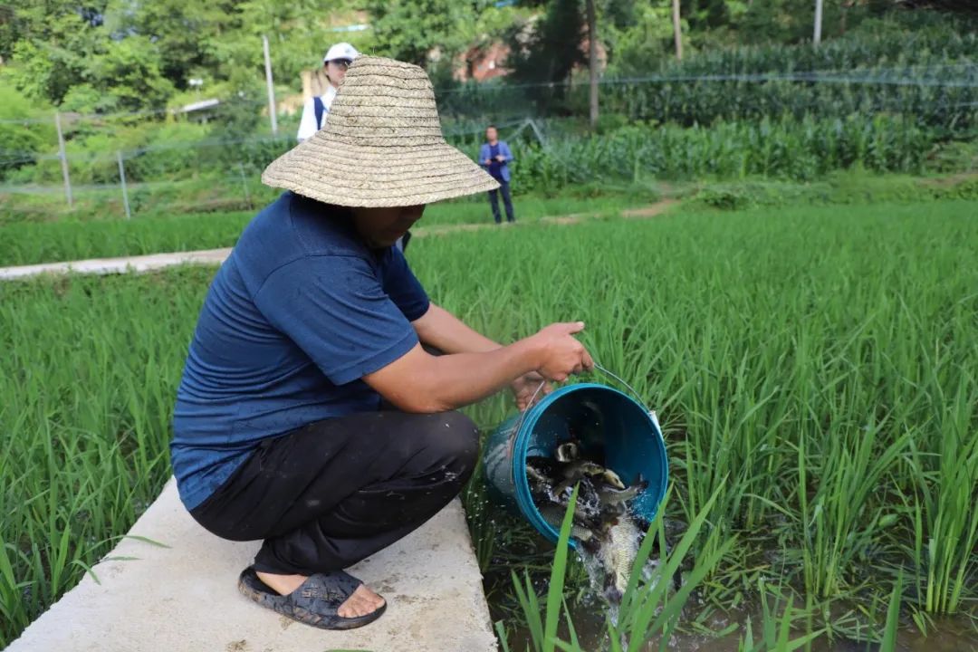 02e839721f00ab4e082fa8c48de729e9.jpg 02e839721f00ab4e082fa8c48de729e9.jpg