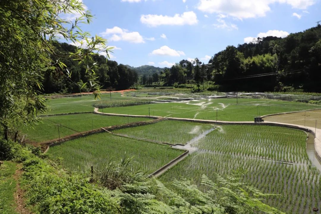 d77cd1d4343eee6e589cdbef7d94b89c.jpg d77cd1d4343eee6e589cdbef7d94b89c.jpg